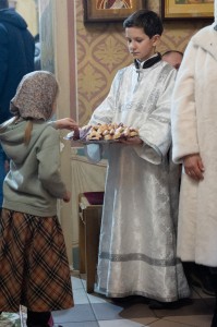 26.01.18 Сорокосвятский 025